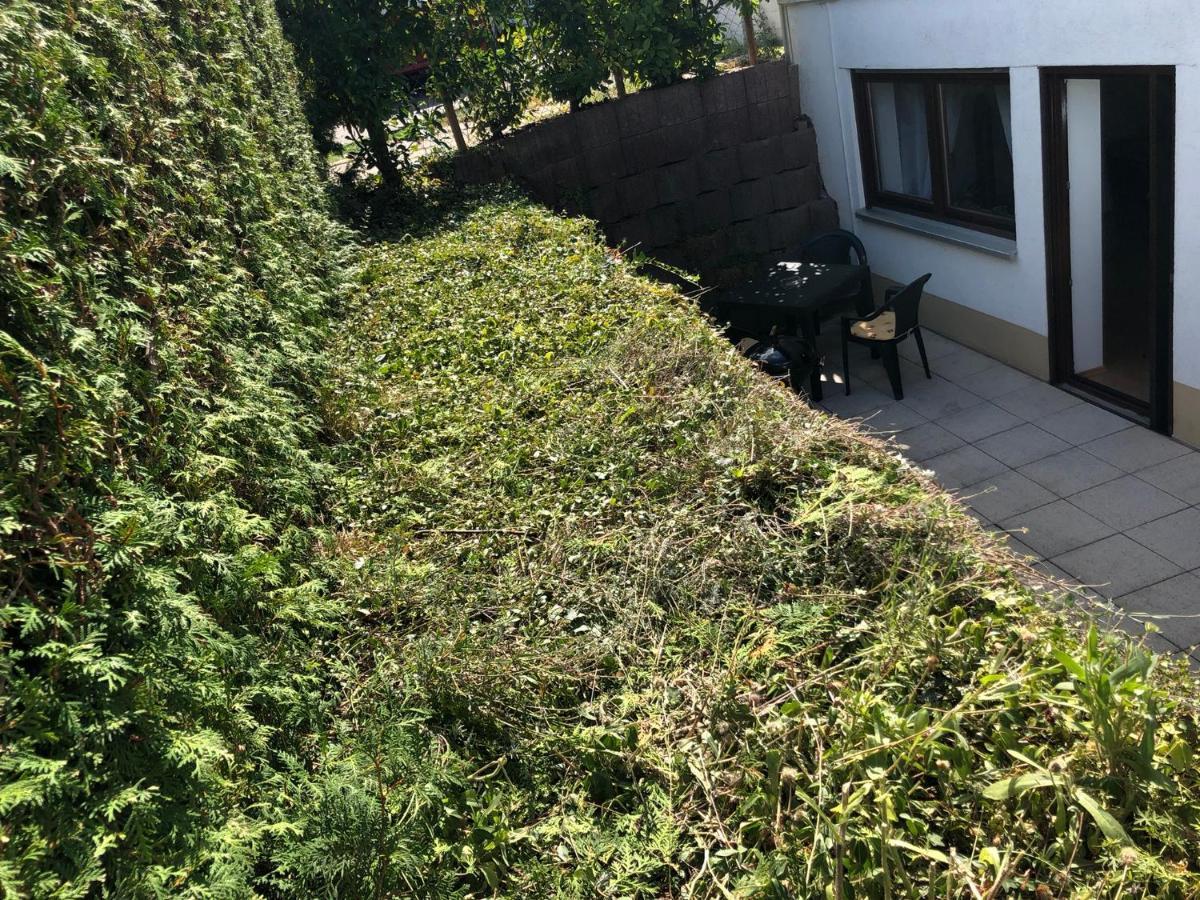 Ferienwohnung Familie Hinrichs Dorn-Durkheim Dış mekan fotoğraf